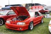 Mustang